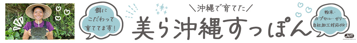 DesignContest_202610_011