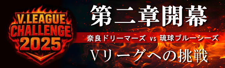 琉球ブルーシーズ